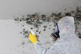 Best Real Estate Mold Inspection  in Avimor, ID